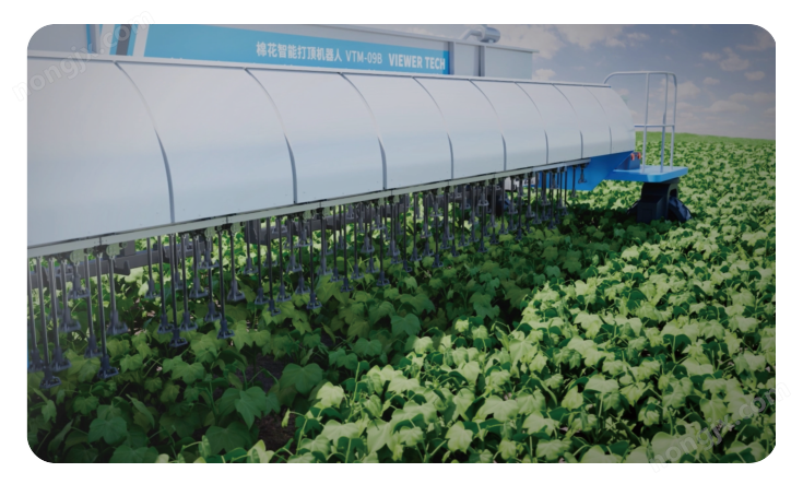 三膜棉花智能打頂機(jī)器人