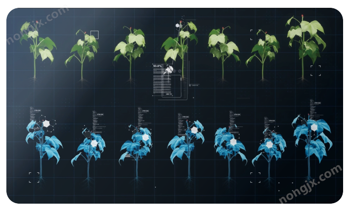 三膜棉花智能打頂機(jī)器人