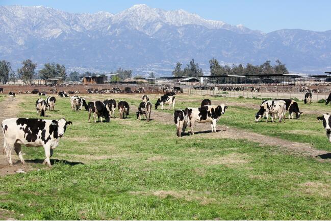 四川省农业农村厅等6部门印发《促进畜牧业高质量发展十条措施实施指引》