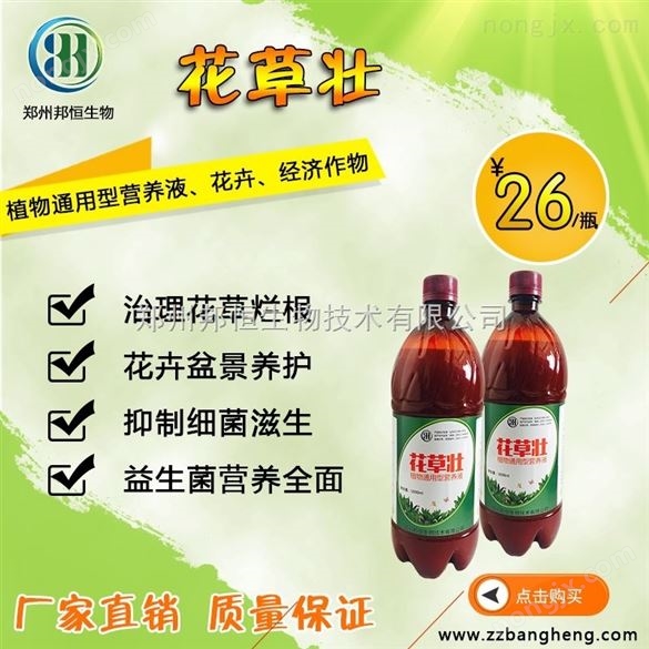 哪種種植em菌液對(duì)番茄茄子豆角的種植好用 家庭園藝植物營(yíng)養(yǎng)液